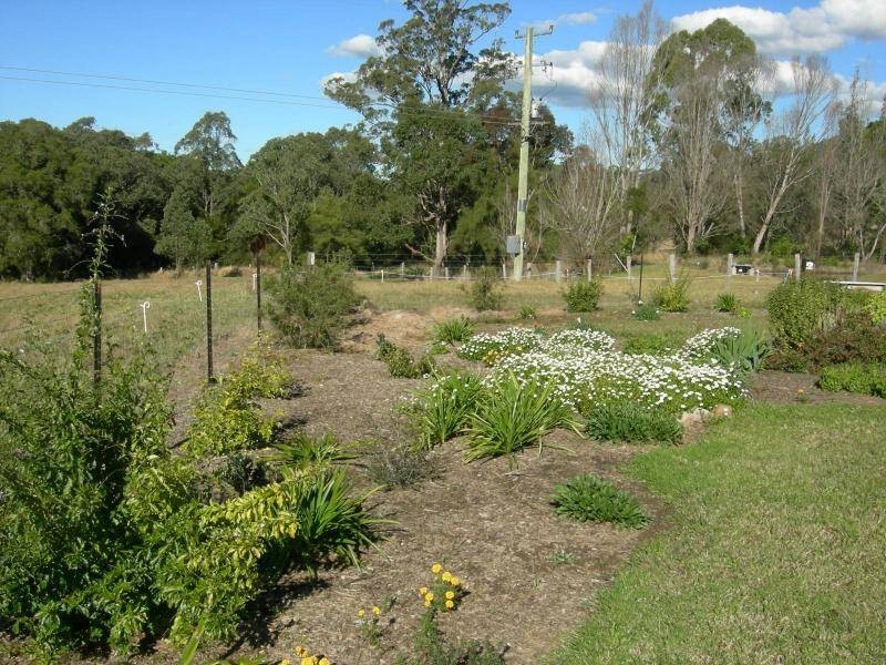 Burrell Creek NSW 2429