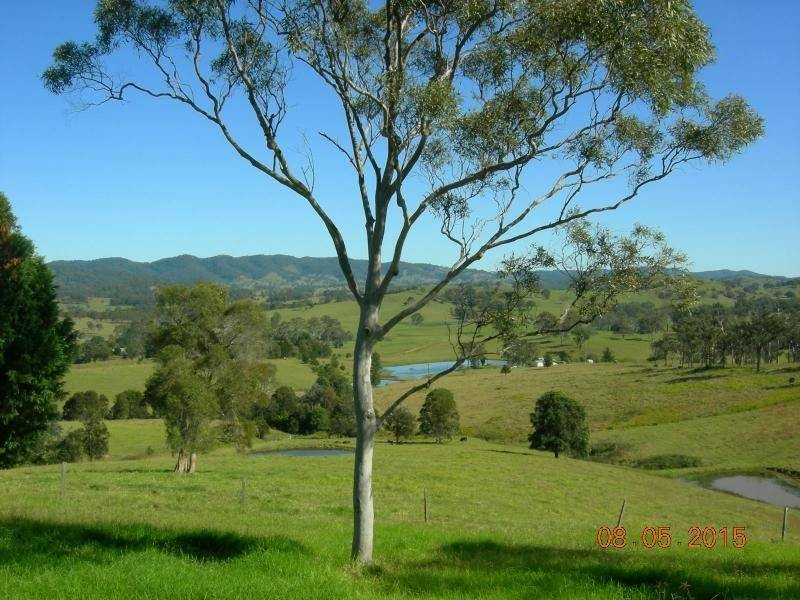 Bunyah NSW 2429