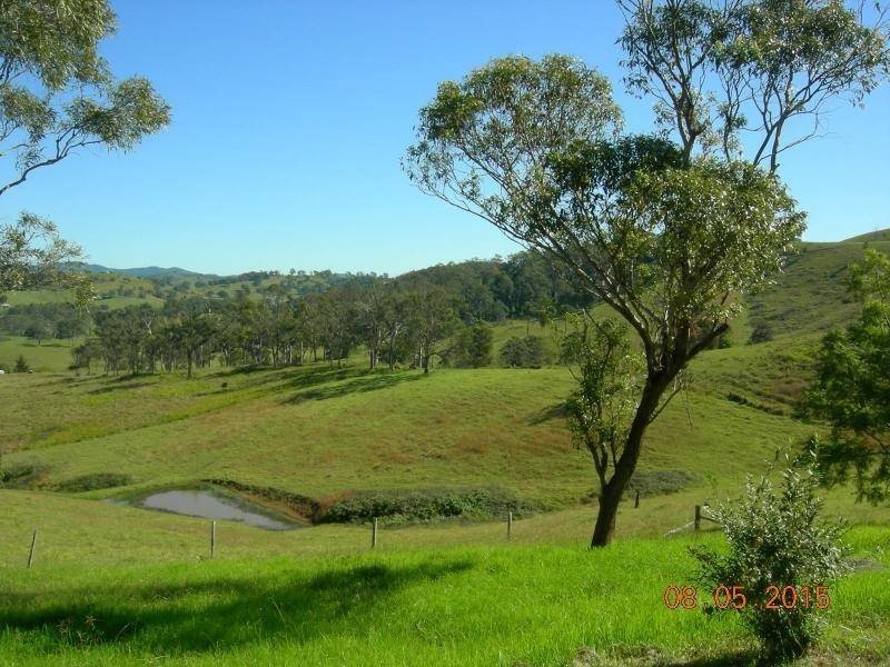 Bunyah NSW 2429