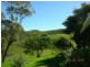 Bunyah NSW 2429