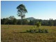 Nabiac NSW 2312