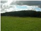 Nabiac NSW 2312