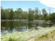 Brimbin NSW 2430