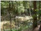 Brimbin NSW 2430