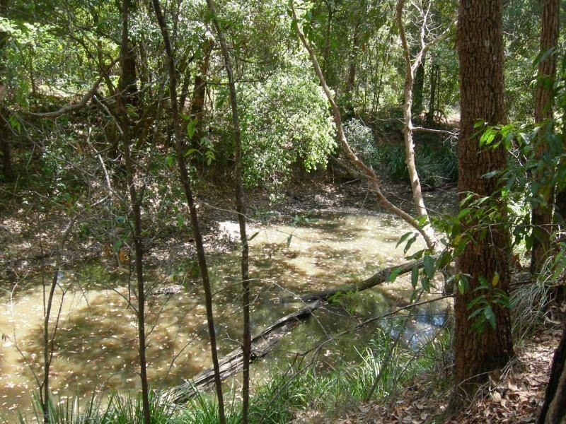 Brimbin NSW 2430