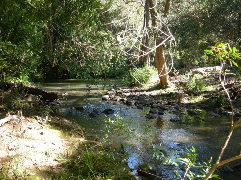 Burrell Creek NSW 2429