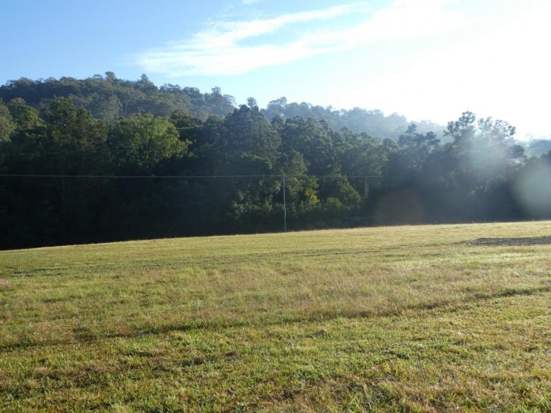 Burrell Creek NSW 2429