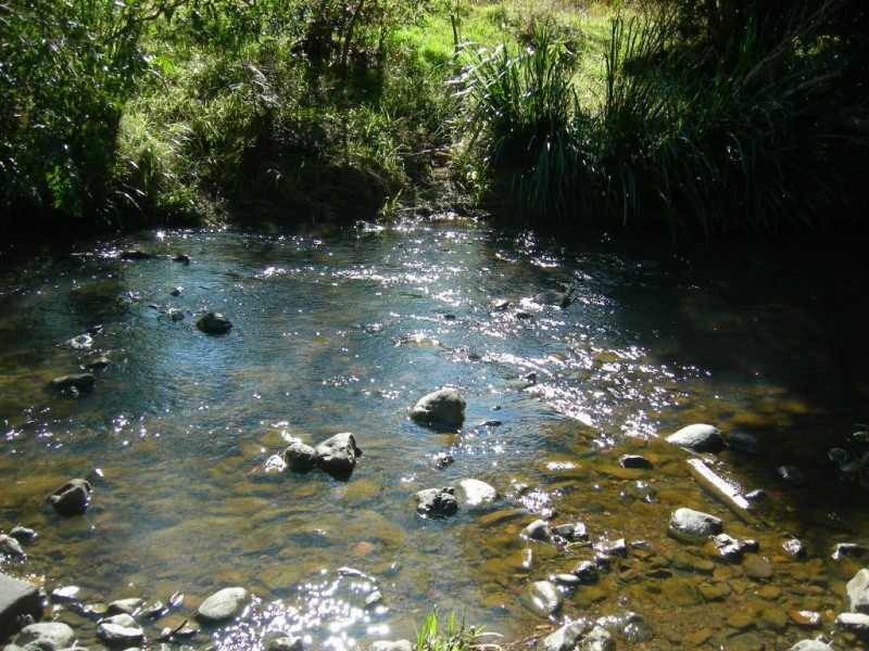 Burrell Creek NSW 2429