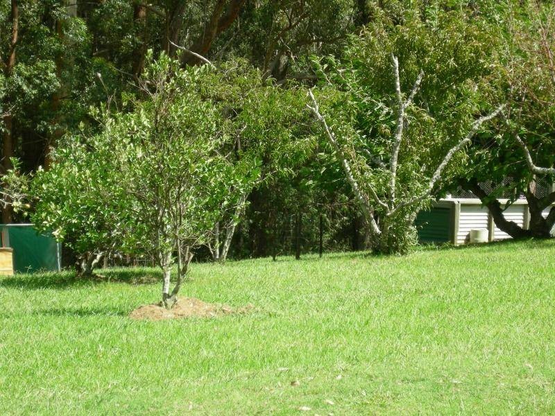 Rainbow Flat NSW 2430