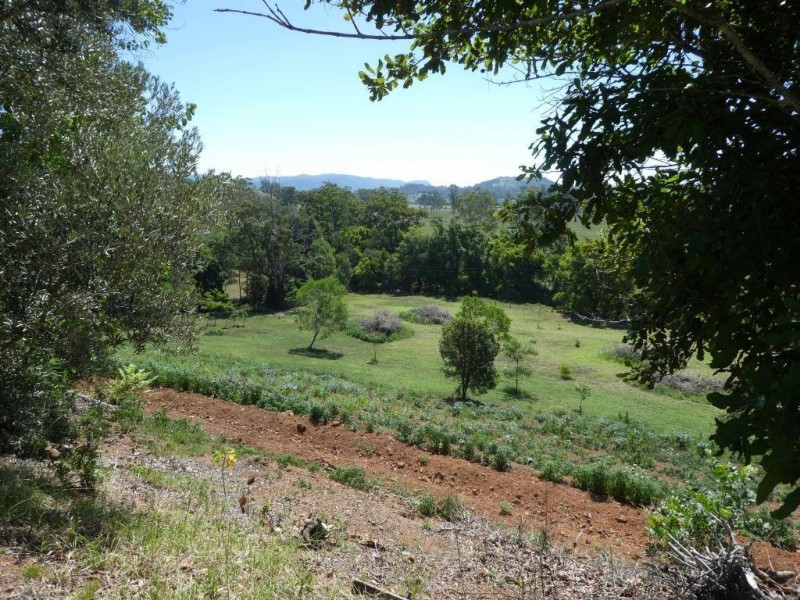 Bootawa NSW 2430