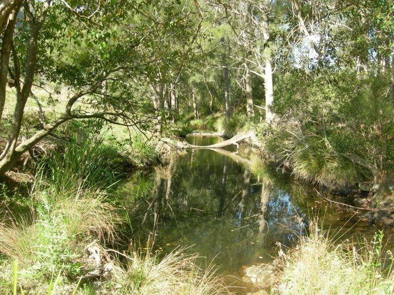 Krambach NSW 2429