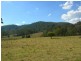 Krambach NSW 2429