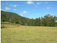 Krambach NSW 2429