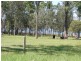 Minimbah NSW 2312