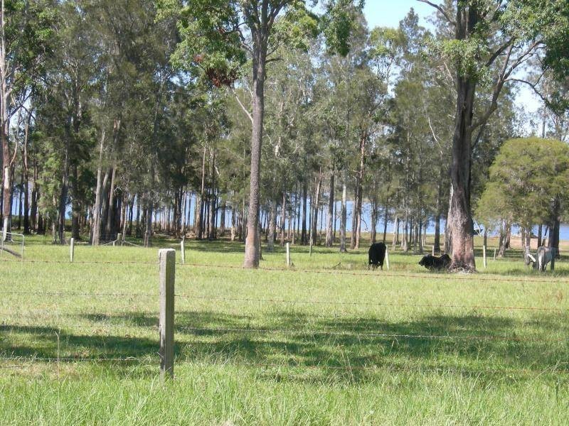 Minimbah NSW 2312