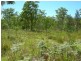 Minimbah NSW 2312