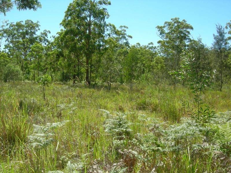Minimbah NSW 2312