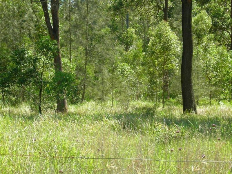 Minimbah NSW 2312