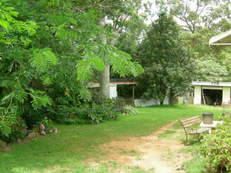 Kimbriki NSW 2429