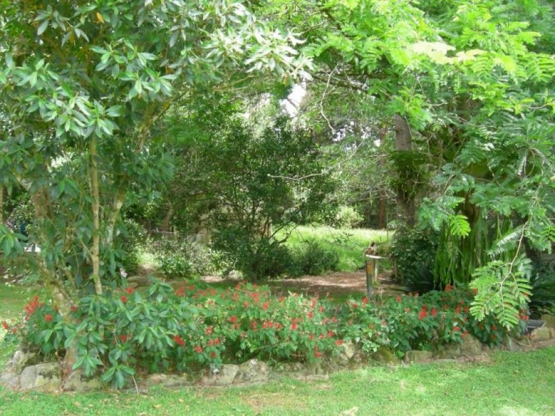 Kimbriki NSW 2429