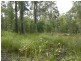 Nabiac NSW 2312
