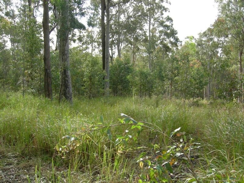 Nabiac NSW 2312