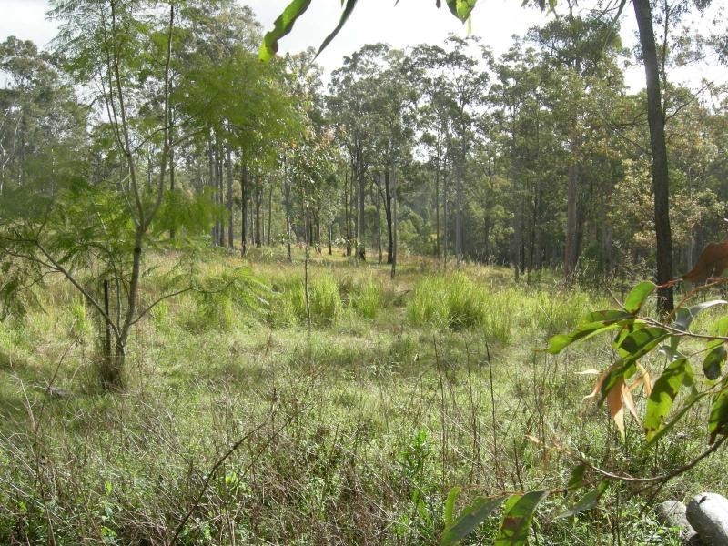 Nabiac NSW 2312