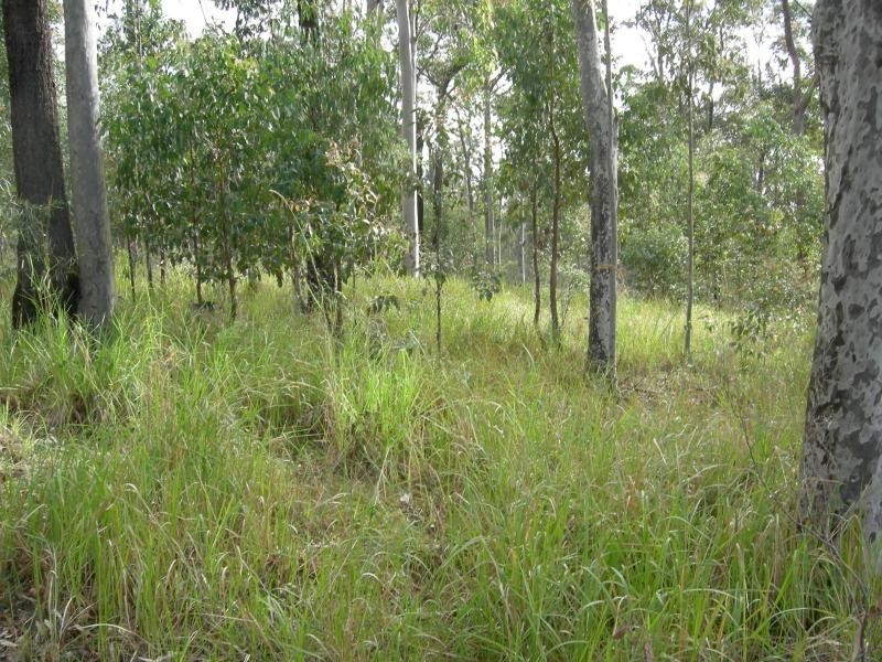 Nabiac NSW 2312