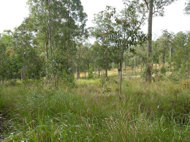 Nabiac NSW 2312