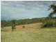 Krambach NSW 2429
