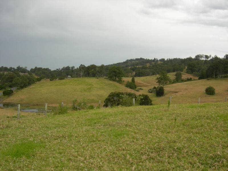 Krambach NSW 2429