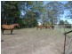 Burrell Creek NSW 2429