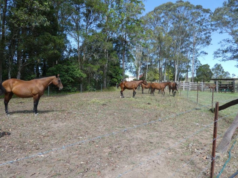 Burrell Creek NSW 2429