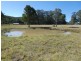 Burrell Creek NSW 2429