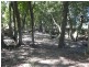 Burrell Creek NSW 2429