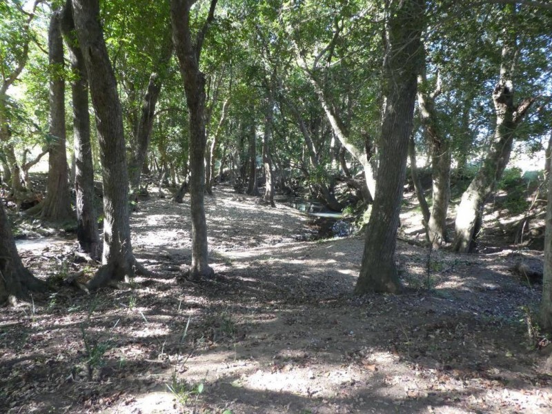 Burrell Creek NSW 2429