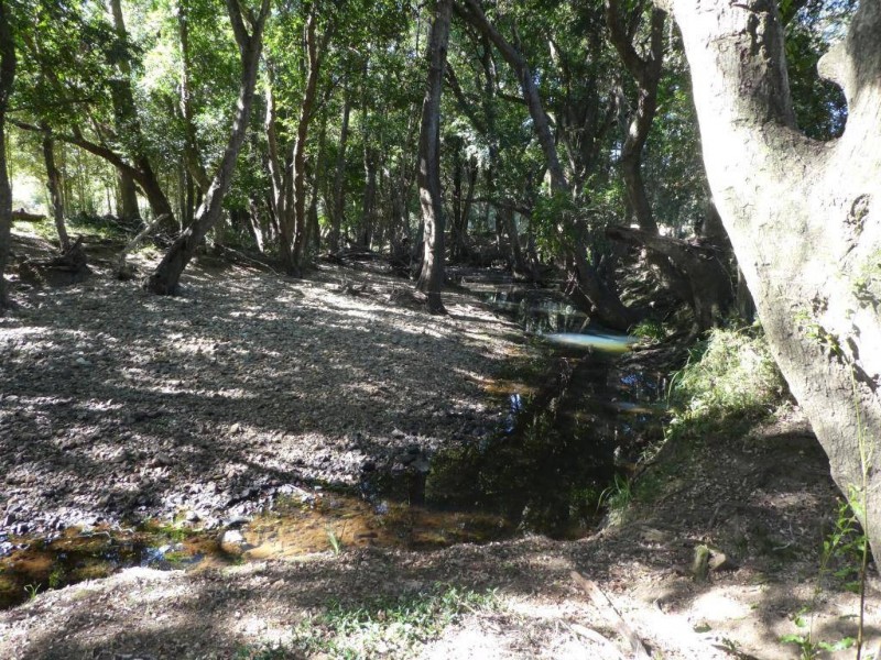 Burrell Creek NSW 2429