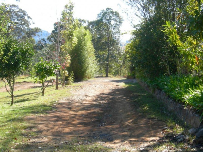 Kundibakh NSW 2429