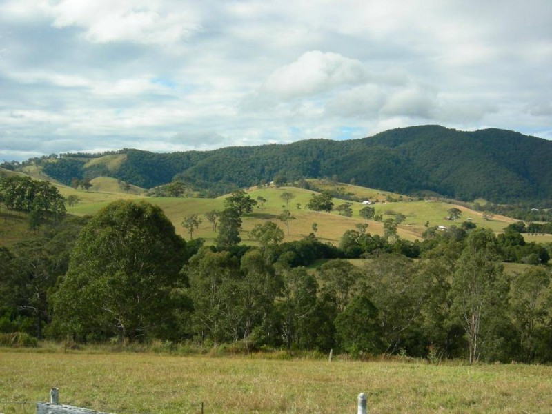 Kundibakh NSW 2429