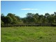 Wingham NSW 2429
