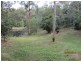 Nabiac NSW 2312