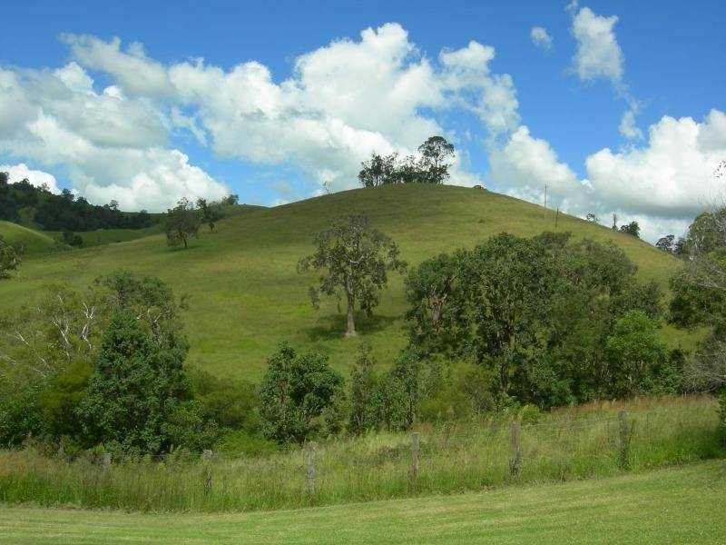 Gangat NSW 2422
