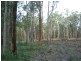 Nabiac NSW 2312