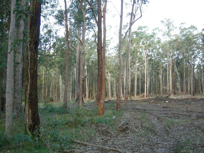 Nabiac NSW 2312