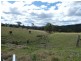 Krambach NSW 2429