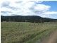Krambach NSW 2429