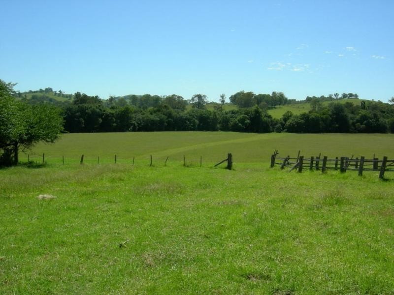 Burrell Creek NSW 2429