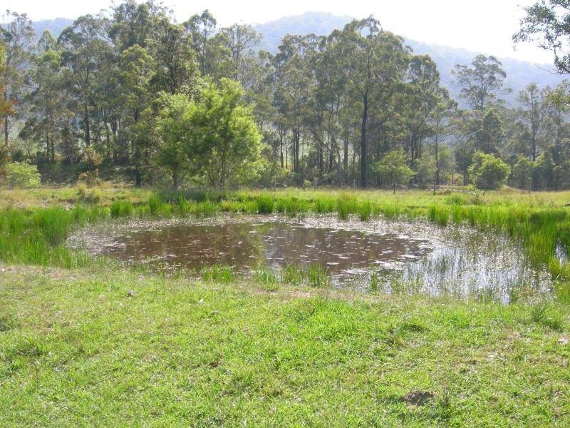 Bunyah NSW 2429