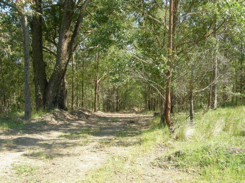 Bunyah NSW 2429