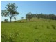 Bunyah NSW 2429